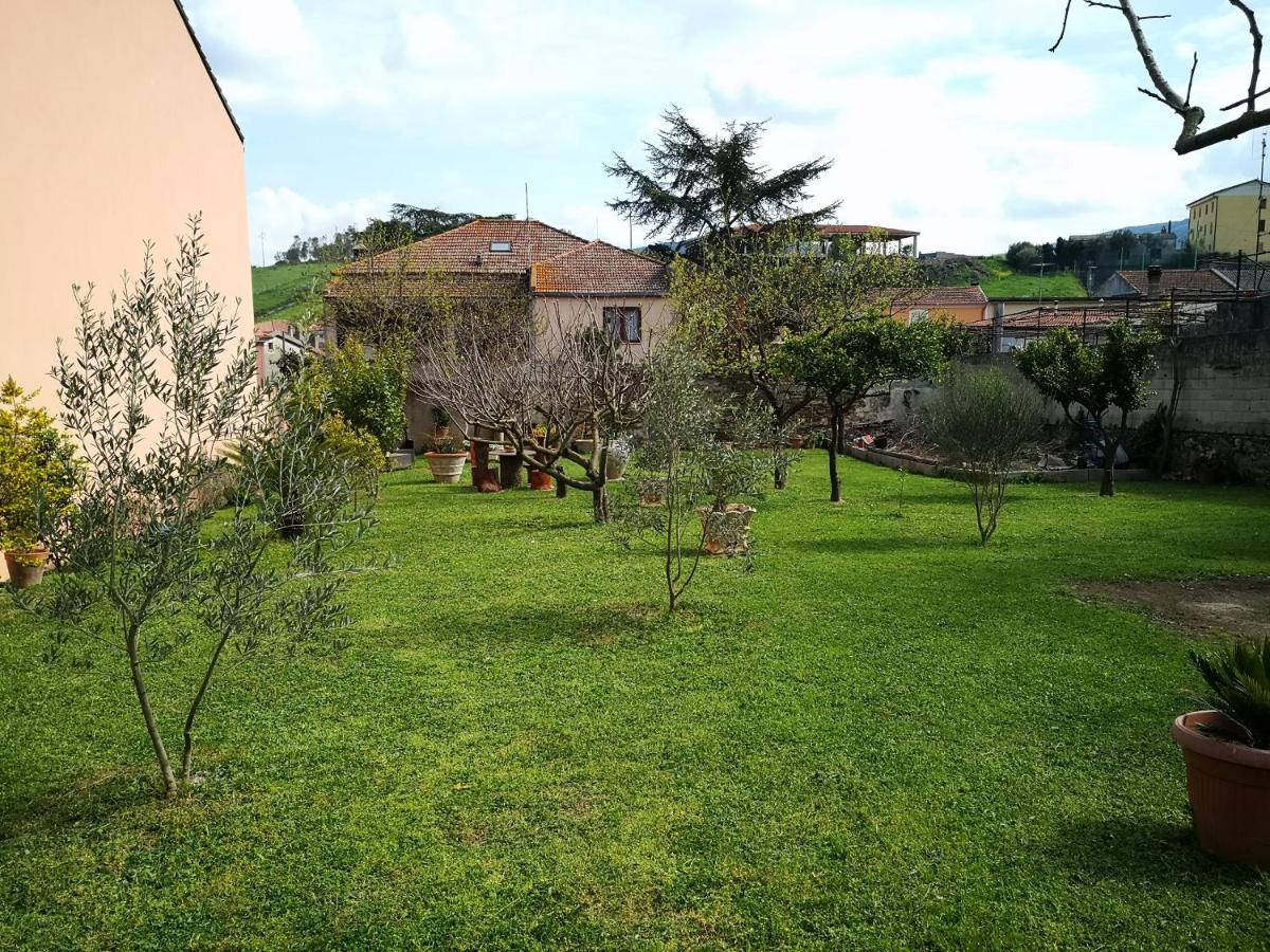 Zia Chiarina Bed & Breakfast San Nicolo Gerrei Exterior foto