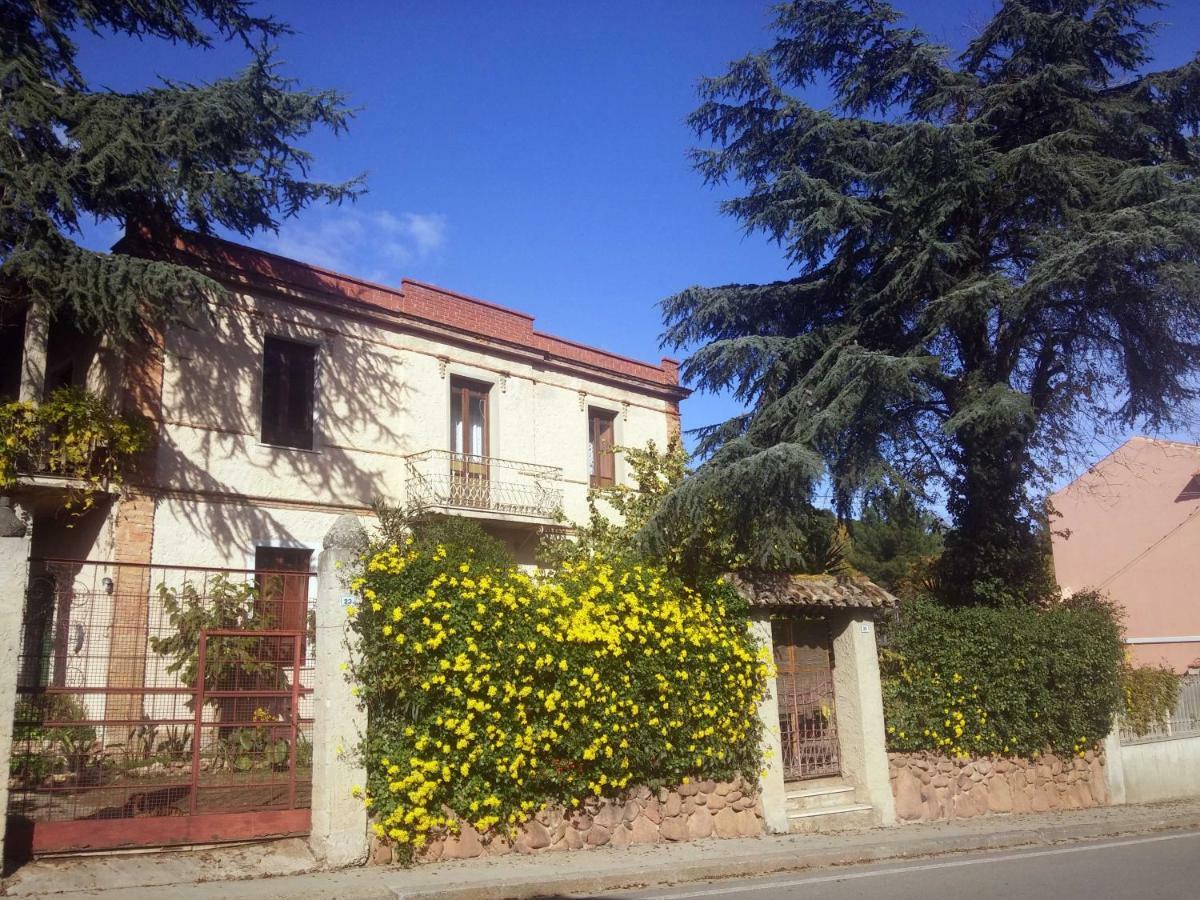 Zia Chiarina Bed & Breakfast San Nicolo Gerrei Exterior foto