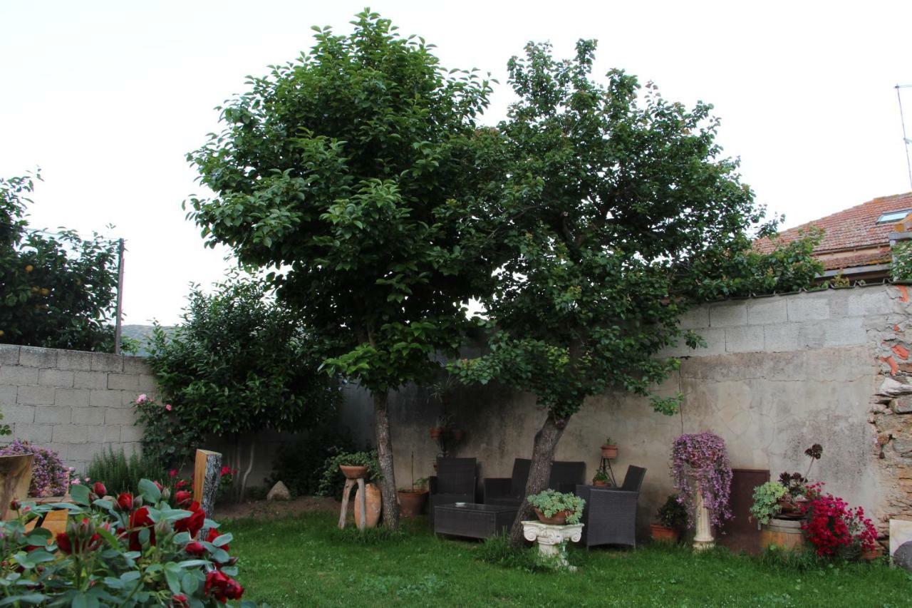 Zia Chiarina Bed & Breakfast San Nicolo Gerrei Exterior foto